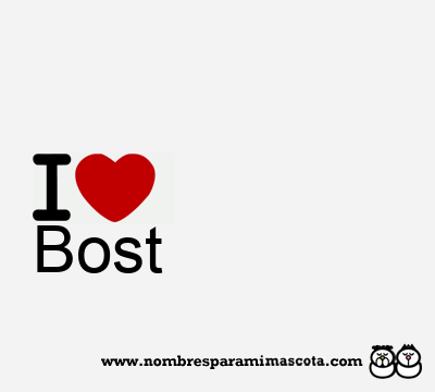 I Love Bost