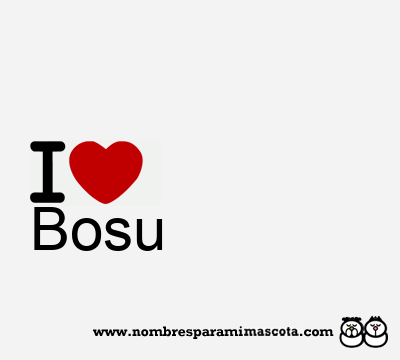 I Love Bosu