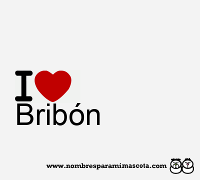 I Love Bribón