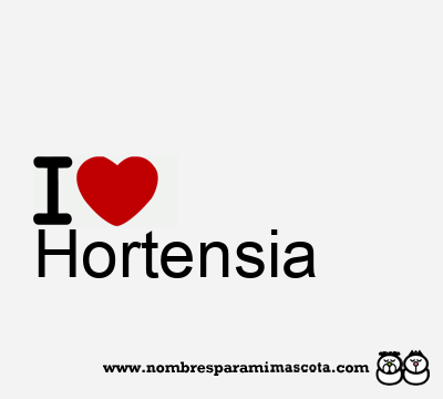 I Love Hortensia