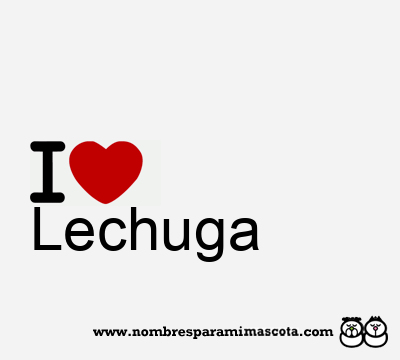 I Love Lechuga