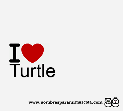I Love Turtle