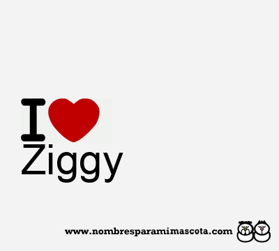 I Love Ziggy